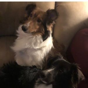 Meet your Posher, Mary